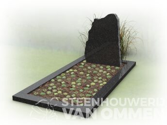 Ruwe grafsteen met open plantengedeelte